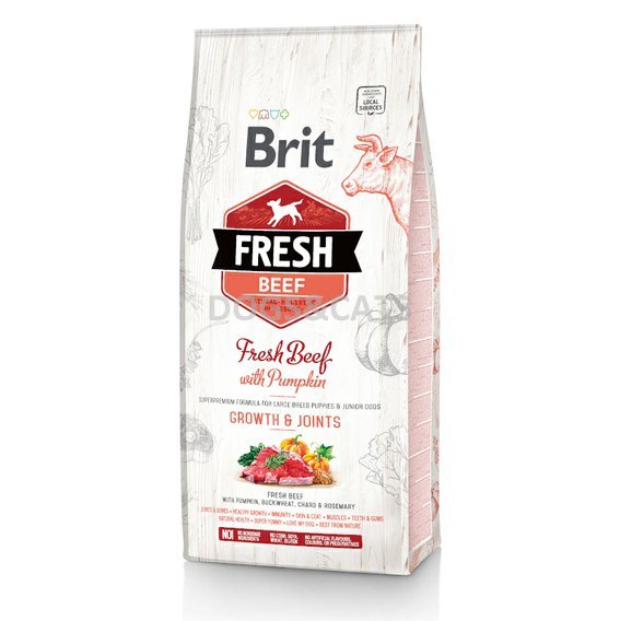 Brit Fresh Beef with Pumpkin Puppy Large