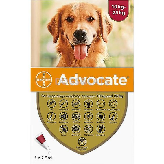 Advocate Dog L
