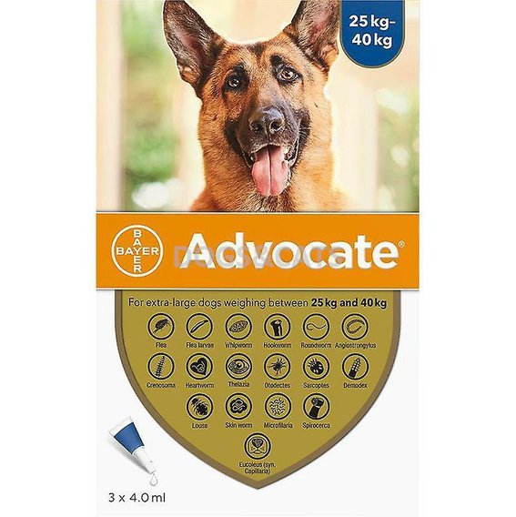 Advocate Dog XL