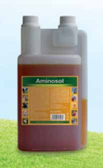 Aminosol 5000 ml