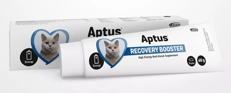 Aptus Recobooster CAT pasta 60 g