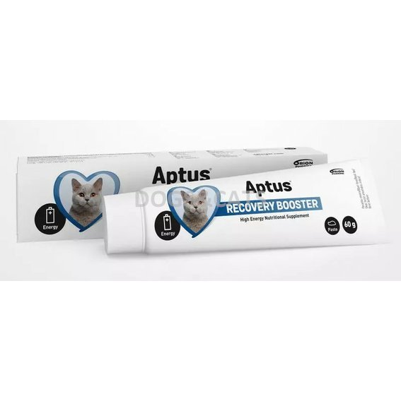 Aptus Recovery Booster Cat