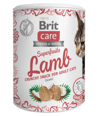 Brit Care Cat Snack Superfruits Lamb 100 g
