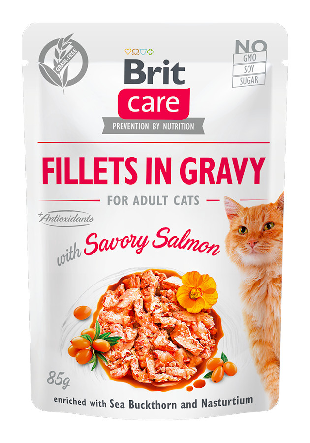 Brit Care Cat GF Gravy Pouch ADULT Salmon 85 g