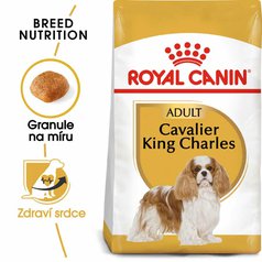 Royal Canin BHN CAVALIER KING CHARLES Adult