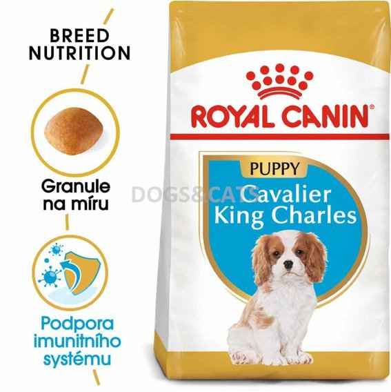 Royal Canin Cavalier Puppy
