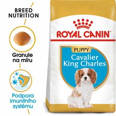 Royal Canin BHN CAVALIER KING CHARLES Puppy