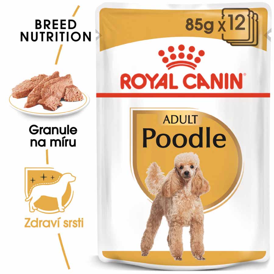 Royal Canin BHN POODLE kapsička 12x 85 g