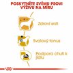 Royal Canin Pudl Pouch 3