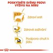 Royal Canin Chihuahua Pouch 3