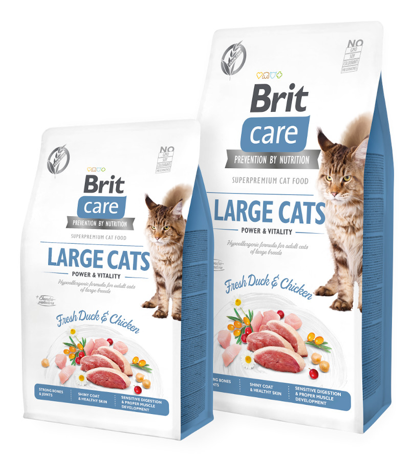 Brit Care Cat GF Large Cats Power and Vitality 2 kg