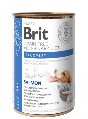 Brit VD GF Recovery Salmon konzerva 400 g