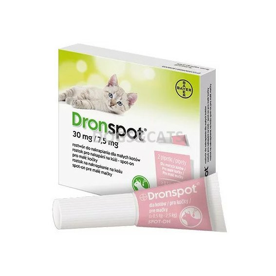 Dronspot malé kočky