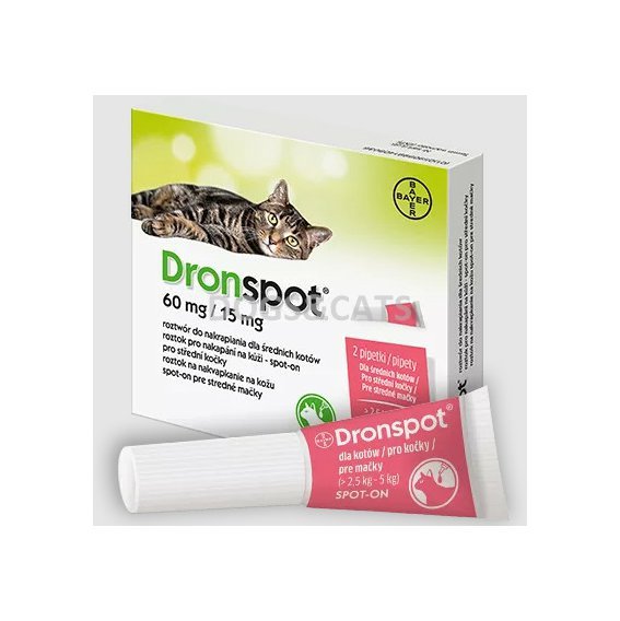 Dronspot střední kočky