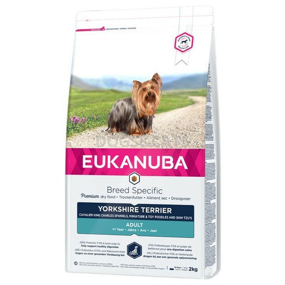 Eukanuba Yorkshire Terrier