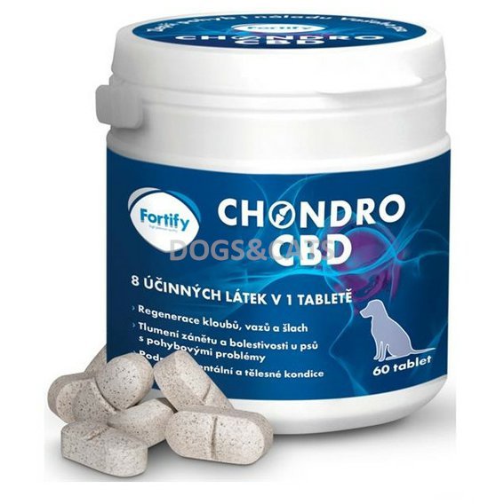 Fortify Chondro CBD