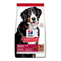Hills Canine Adult Large Lamb