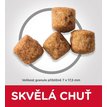 Hills SP Perfect Weight Large Breed Chicken granule