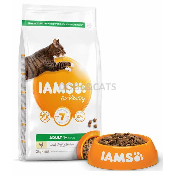 Iams Cat Chicken