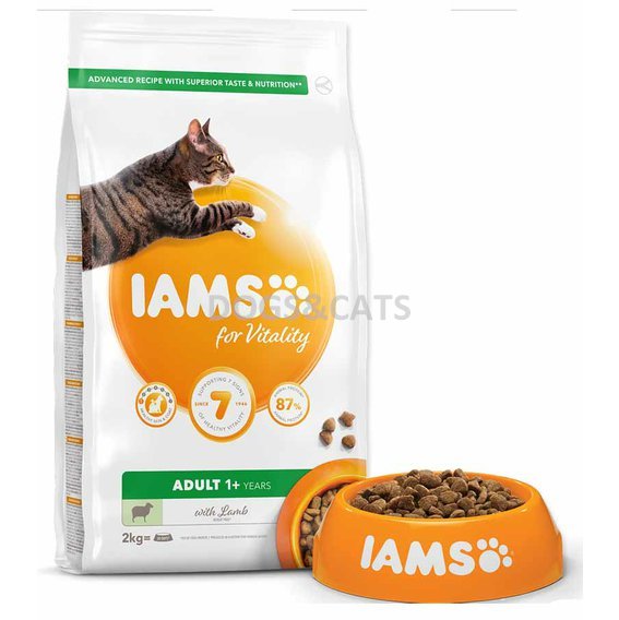 Iams Cat Lamb