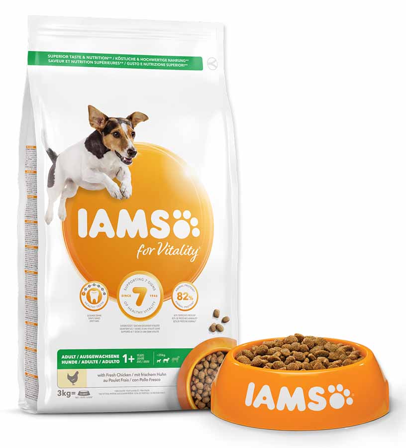 IAMS Dog Adult S/M Chicken 3 kg