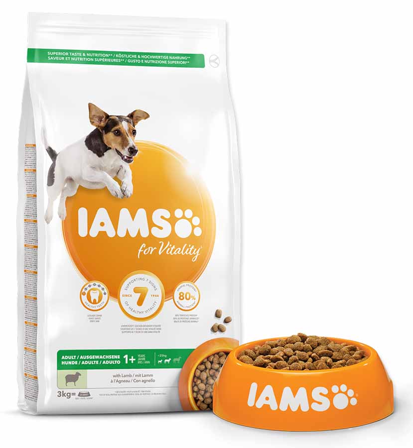 IAMS Dog Adult S/M Lamb 12 kg