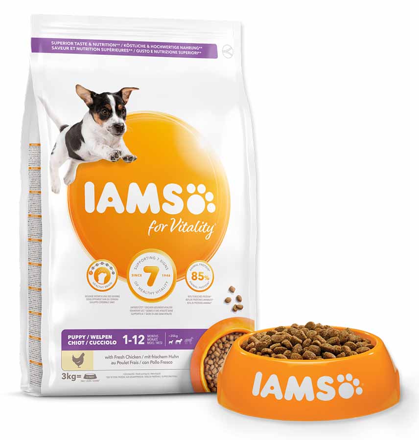 IAMS Dog Puppy S/M Chicken 3 kg
