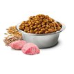 N&D Ancestral Grain CAT Adult Lamb granule