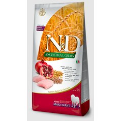 N&D Ancestral Grain DOG Adult Giant Chicken & Pomegranate
