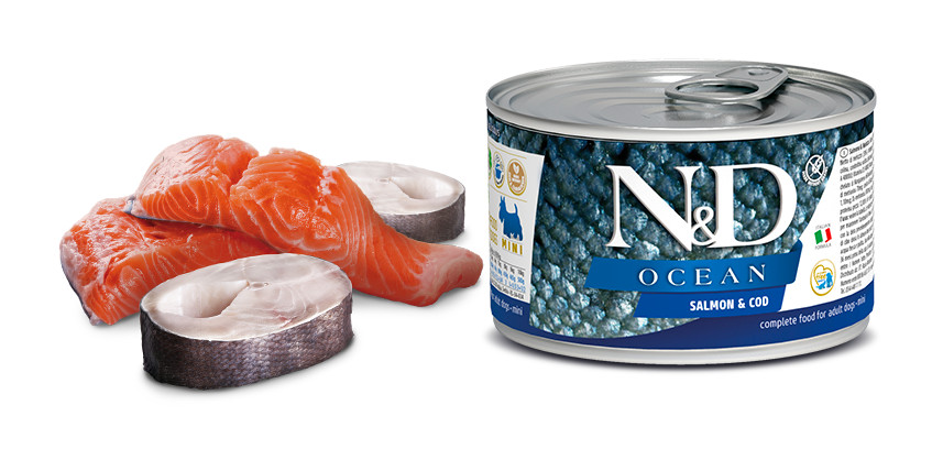 N&D Ocean DOG Adult Mini Salmon & Codfish 140 g konzerva