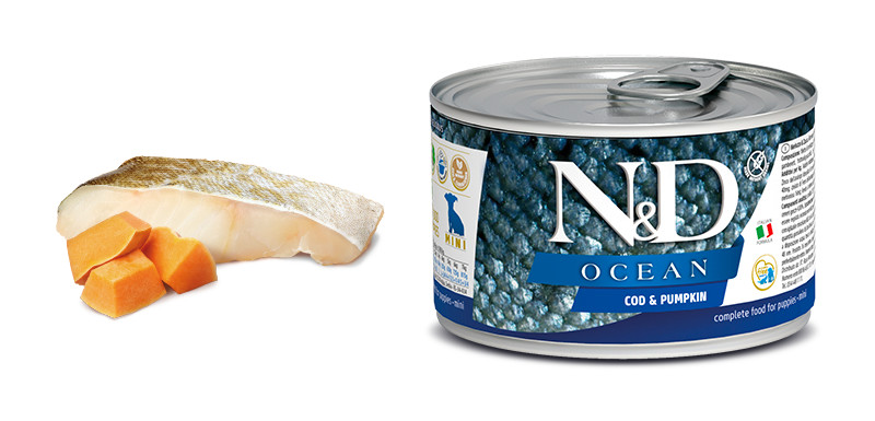 N&D Ocean DOG Puppy Mini Codfish & Pumpkin 140 g konzerva