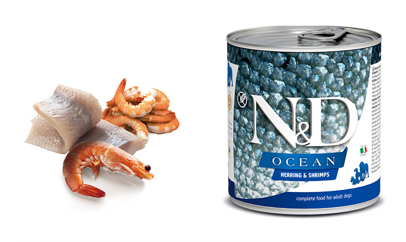 N&D Ocean DOG Adult Herring & Shrimps 285 g konzerva