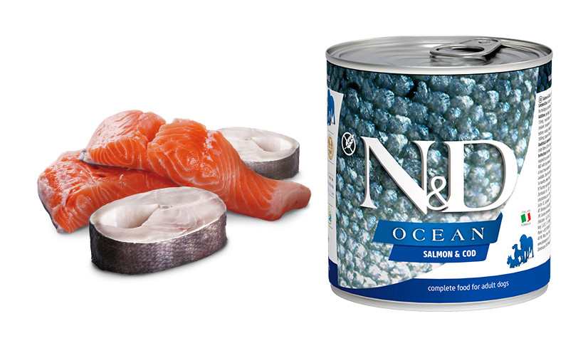 N&D Ocean DOG Adult Salmon & Codfish 285 g konzerva