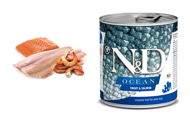 N&D Ocean DOG Adult Trout & Salmon 285 g konzerva