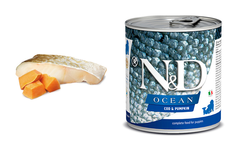 N&D Ocean DOG Puppy Codfish & Pumpkin 285 g konzerva