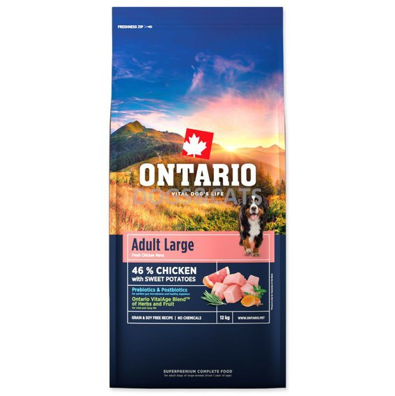 Ontario Adult Large Chicken