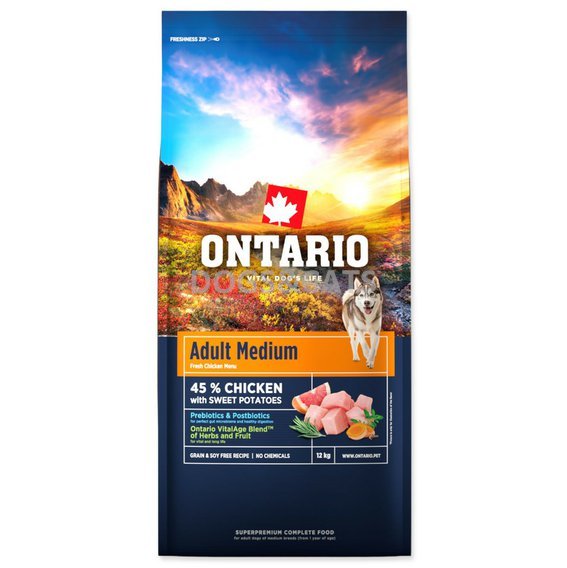 Ontario Adult Medium Chicken