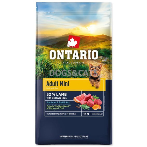 Ontario Adult Mini Lamb