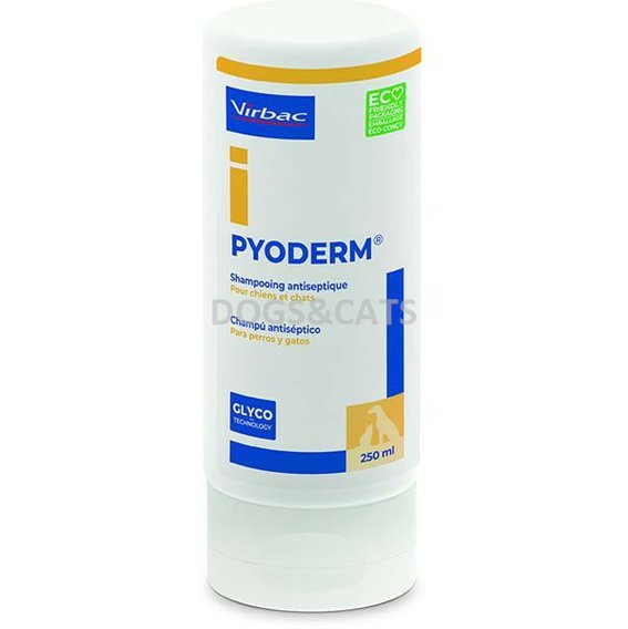 Pyoderm