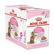 Royal Canin Kitten Sterilized Pouch box