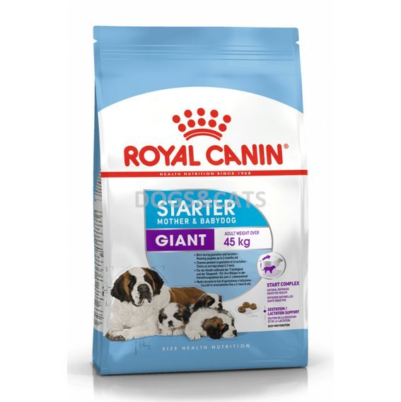 Royal Canin Giant Starter