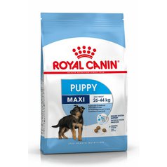 Royal Canin SHN Maxi Puppy
