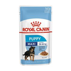 Royal Canin SHN Maxi Puppy kapsička 10x 140 g