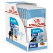 Royal Canin SHN Puppy Maxi Pouch Box