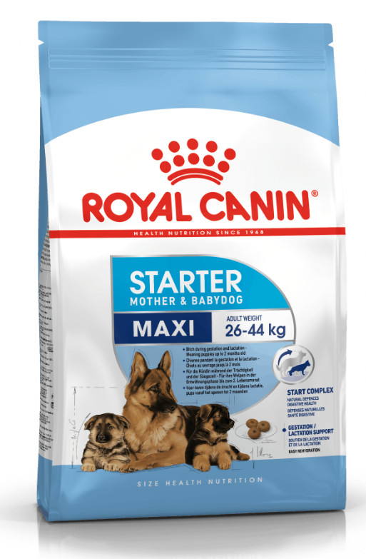 Royal Canin SHN Maxi Starter 4 kg