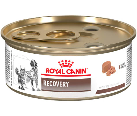 Royal Canin VHN Canine/Feline RECOVERY WET 12x 195 g