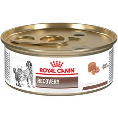 Royal Canin VHN Canine/Feline RECOVERY konzerva