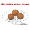Royal Canin XS 8+ granule