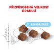Royal Canin Mother & Babycat granule