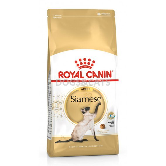 Royal Canin BHN Siamese